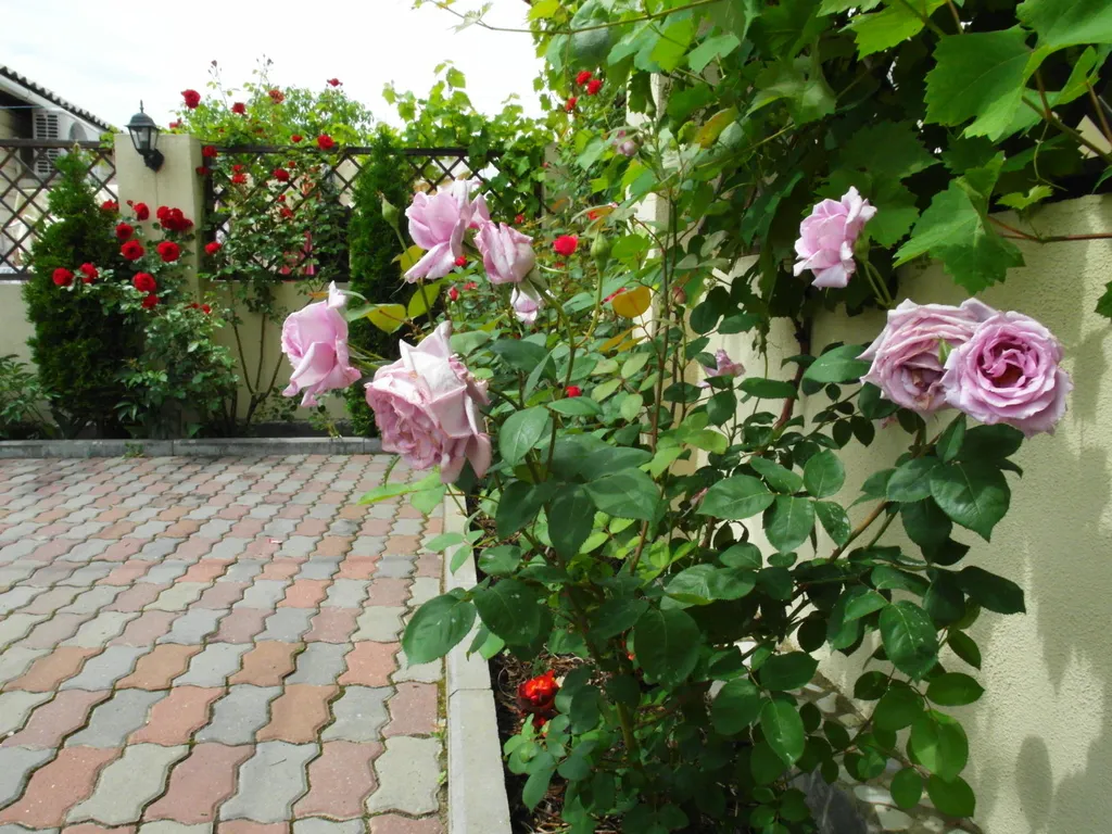 Бюджетный отдых в уютном коттедже