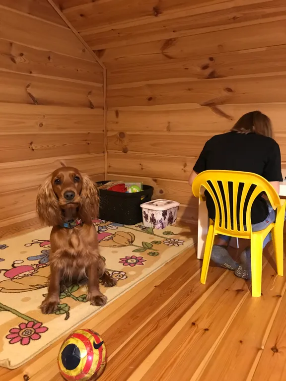 Уютный дом на берегу реки у водопада