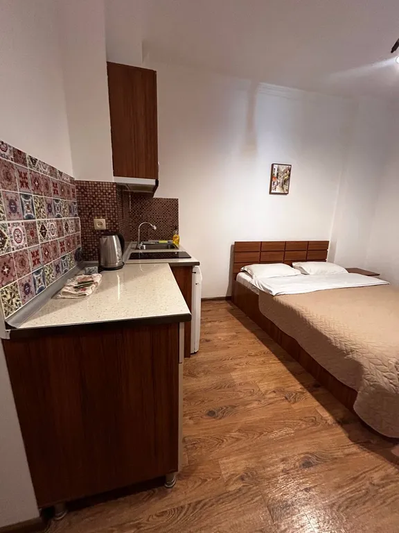 Квартира Студия с потрясающим видом на море и Батуми — аренда посуточно в Батуми