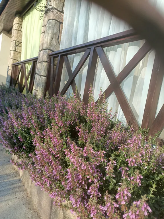 Номер с кухней и террасой, трёхместный