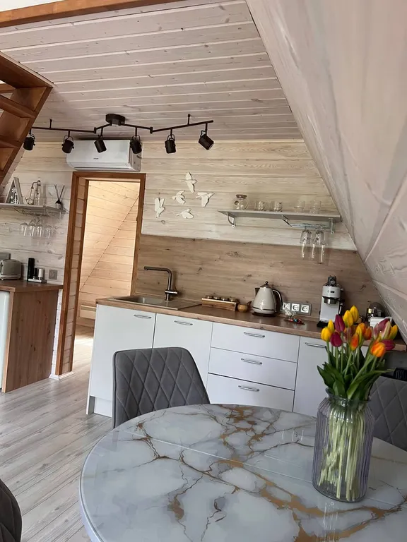 Домик с купелью фурако и русской баней