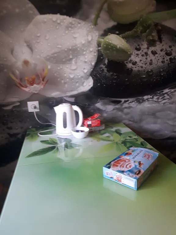 1-комнатная квартира с видом на горы