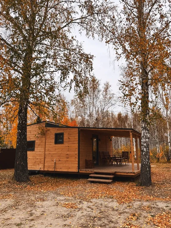 Дом с панорамными окнами с видом на лес