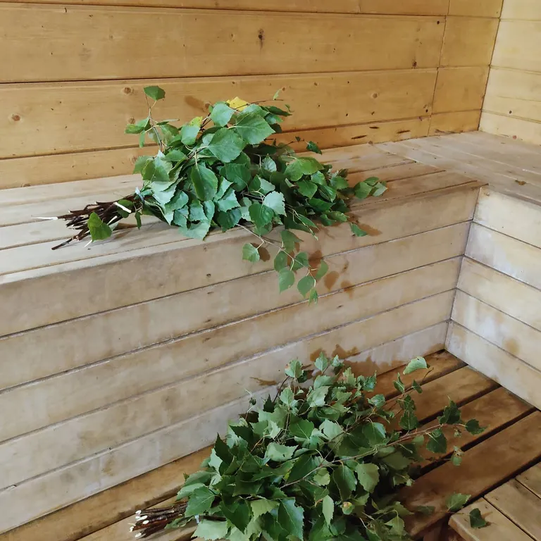 Дом на берегу озера без соседей