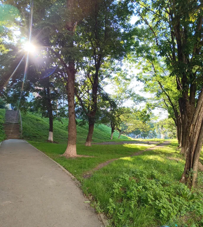 Уютная чистая студия