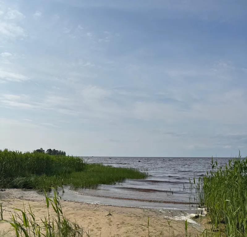 Коттедж Гостевой дом Тень сосны — Санкт-Петербург