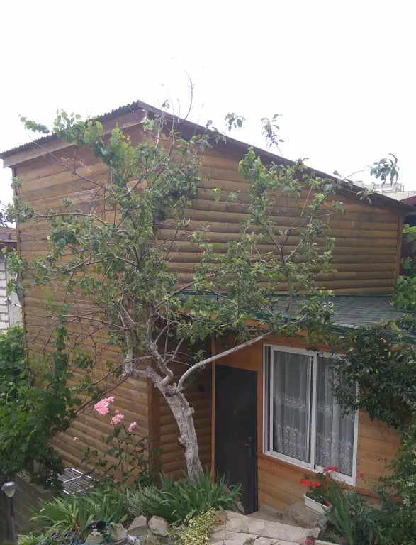 Эко-дача- деревянный дом в 300 метрах от моря