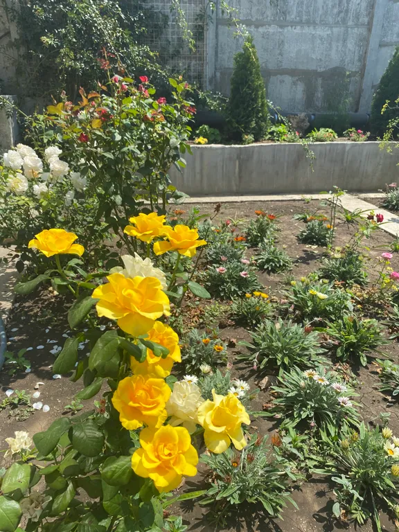 Коттедж Дом с камином в экопоселке у подножья гор — Инкерман