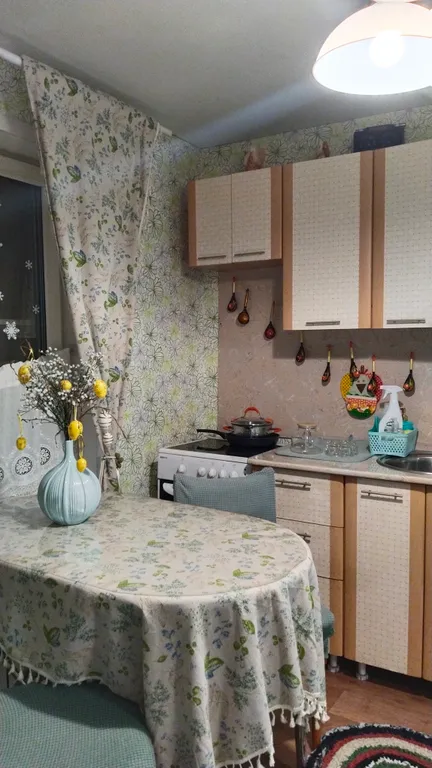 Дом 40m2 — чан, аренда снегоходов, экскурсии