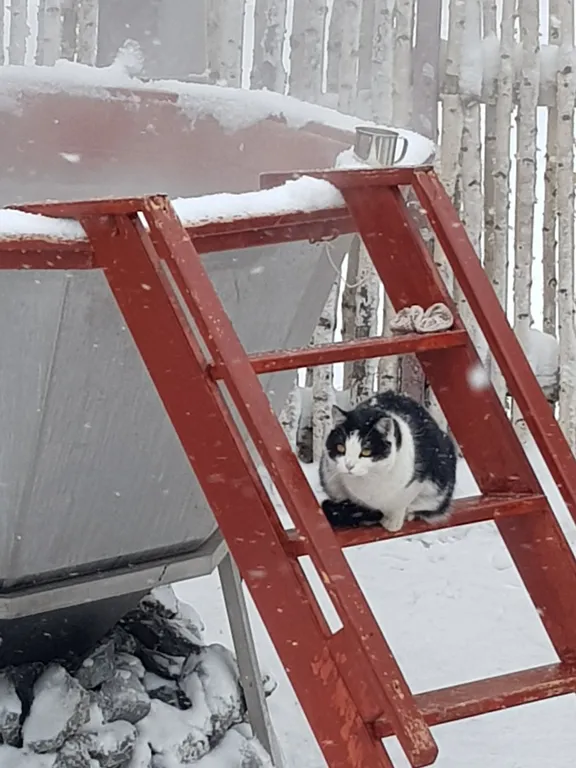 Дом с баней и чаном