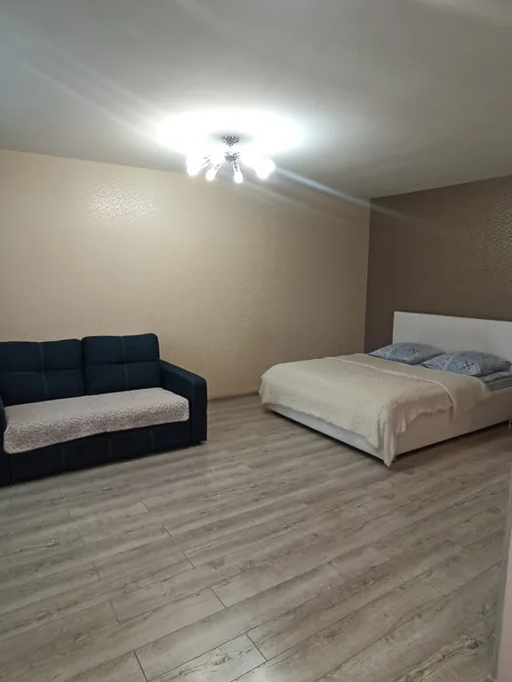 Отличная квартира с хорошим ремонтом и кондиционером. — аренда посуточно в Новокузнецк