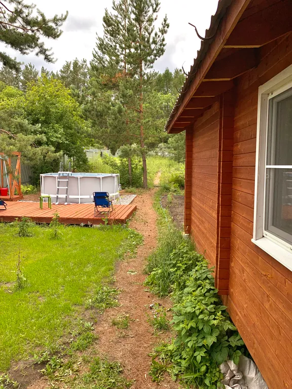 Дом с баней в сосновом бору