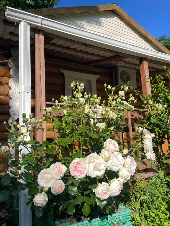 Двухкомнатный домик в 7 мин. от моря в тени деревьев с парковкой (№4)