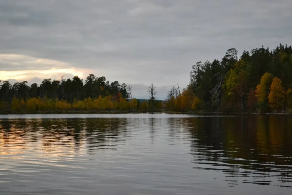 Дом-баня на берегу озера Уросозеро