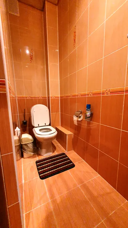 Большая уютная квартира с видом на горы