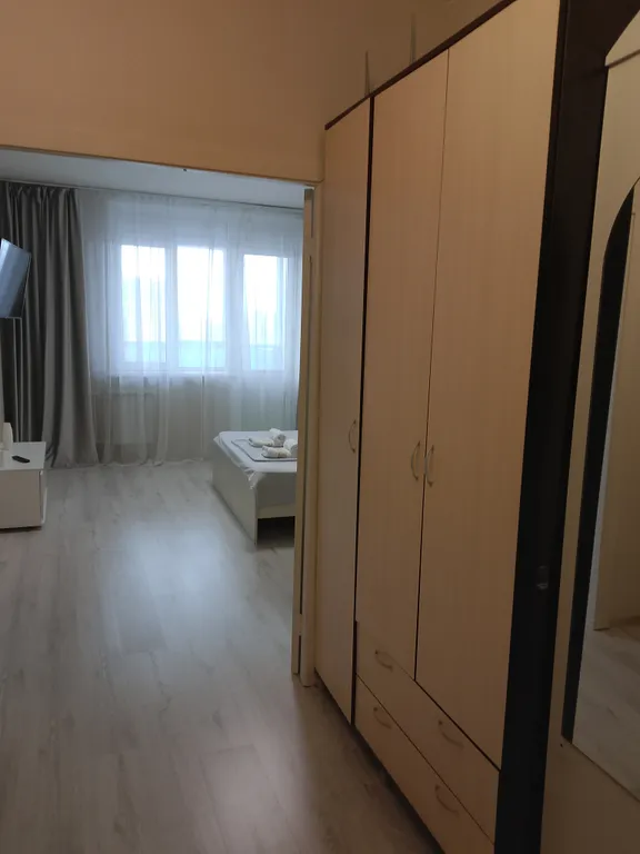 Квартира Квартира Уютная идеально чистая 1-ком на против ТРЦ Планета — Красноярск