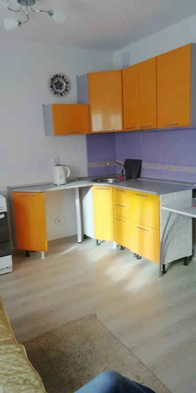 Уютная квартира-студия — аренда посуточно в Екатеринбург