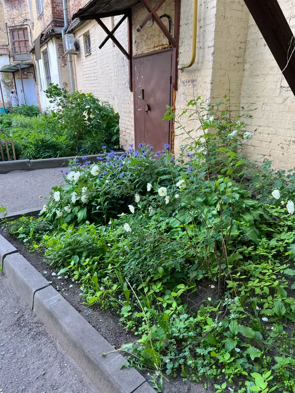 4-комнатный апартамент в сердце города