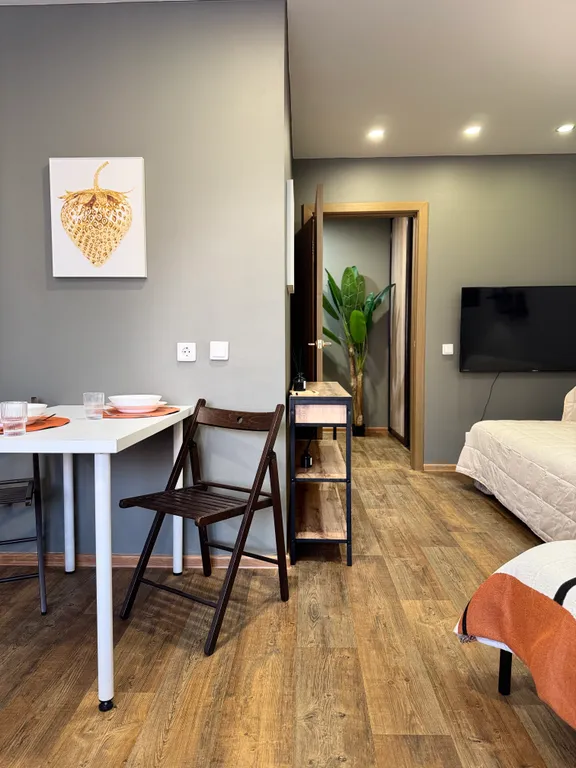 Студия в центре города