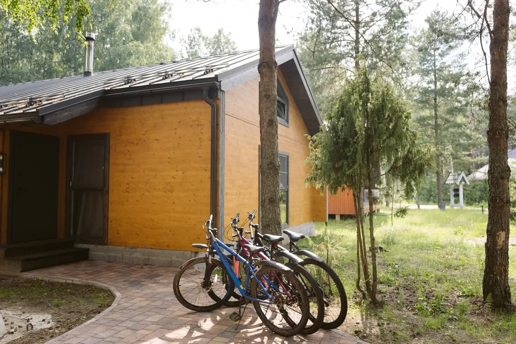 Дом бальдур