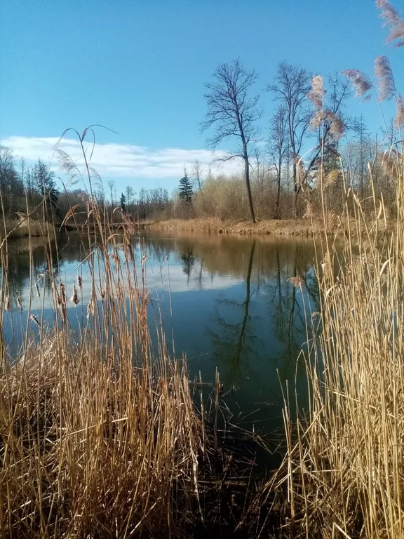 Уютный домик в парковой зоне