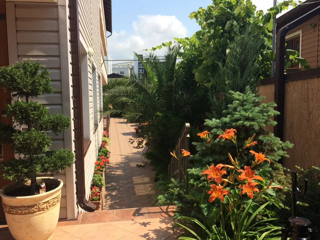 Квартира Квартира Уютные комнаты у моря — Сириус