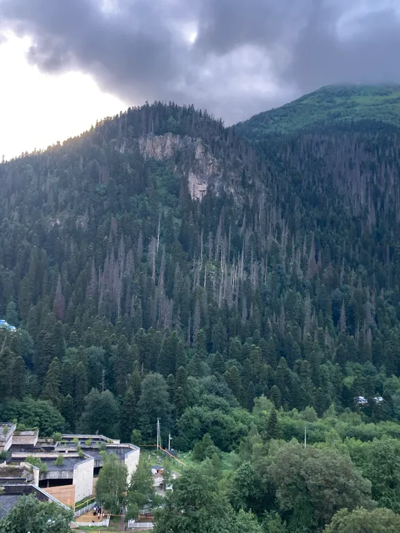 Апартаменты в самом центре Домбая в 2 минутах от канатной дороги