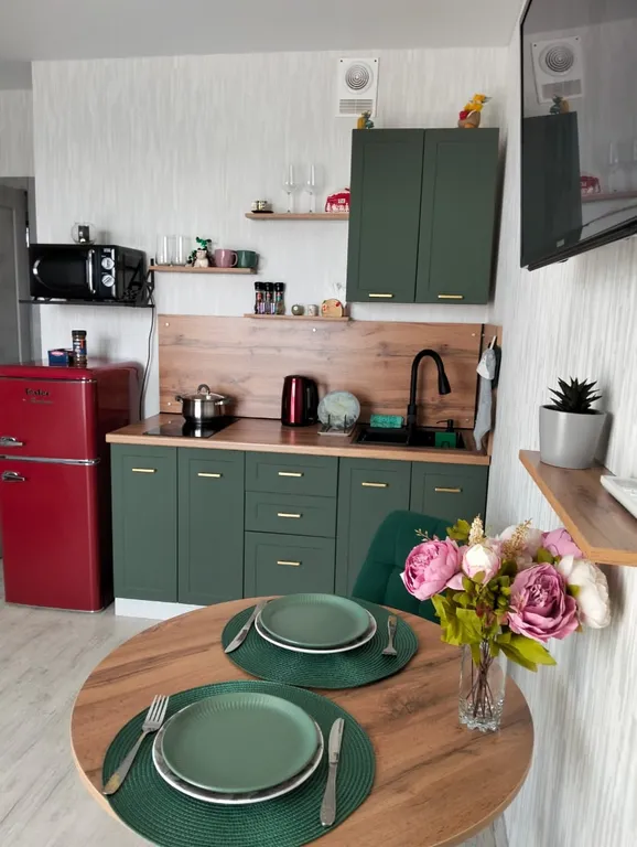 Квартира студия с видом на город