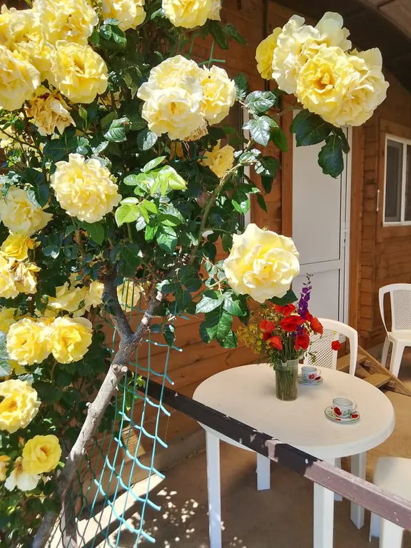 Коттедж Семейный домик рядом с чистейшим пляжем — Кучугуры