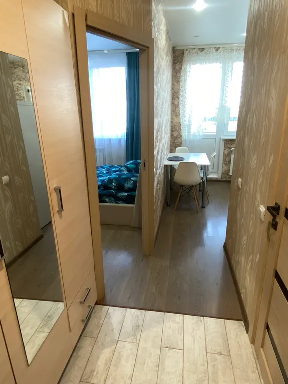 Комфортная однокомнатная квартира