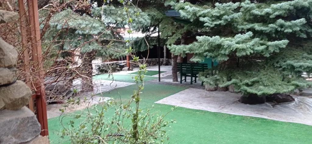 Дача для семейного отдыха Елки-иголки