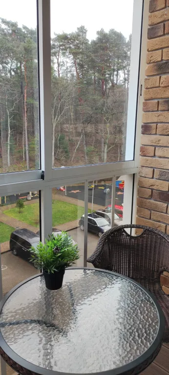 Квартира Уютная новая квартира у озера — Светлогорск