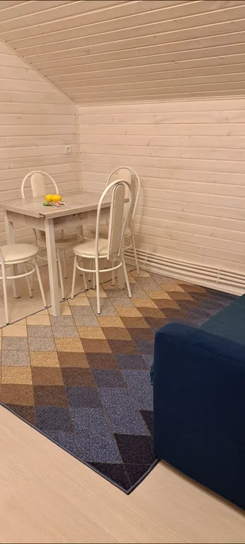 Загородный дом с Финской сауной