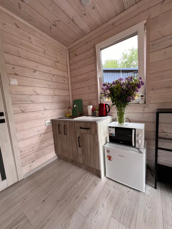 Эко дома Горыныч House рядом с Кудыкиной горой