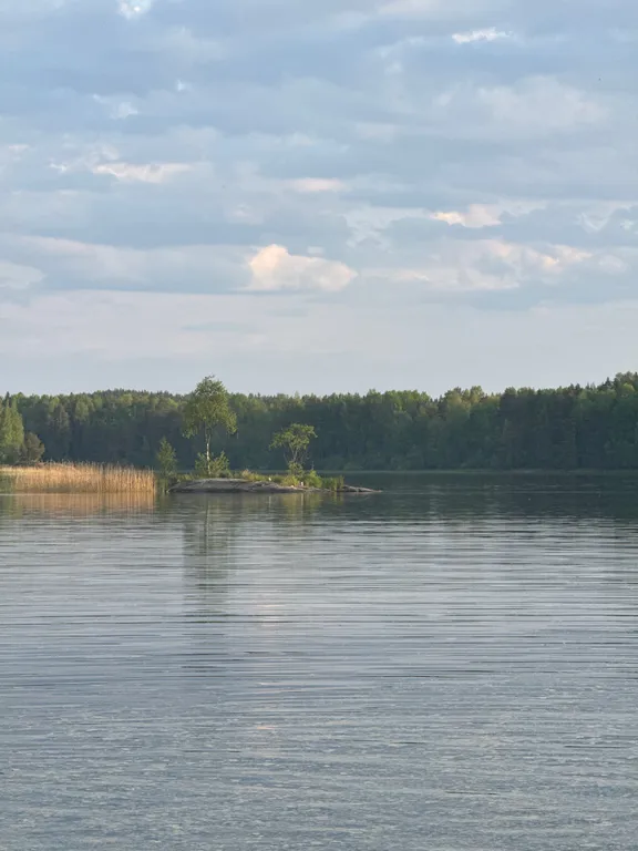 Медвежья берлога