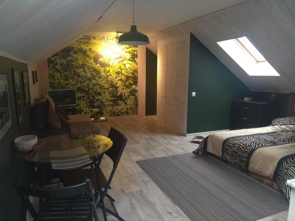 Студия на мансарде