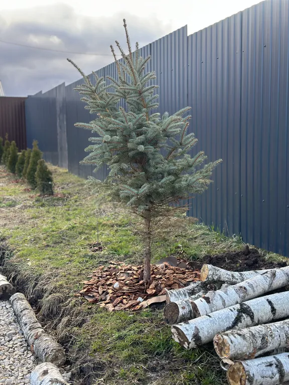 Коттедж Коттедж Family House Rublevo — Юсупово