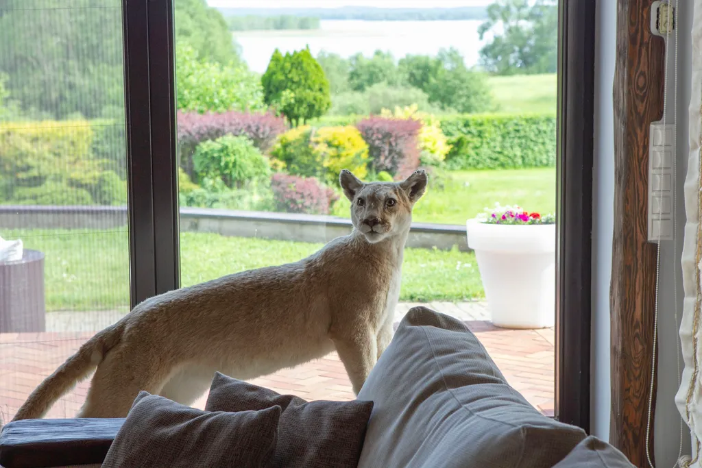 Вилла в Беларуси на озере Мядель