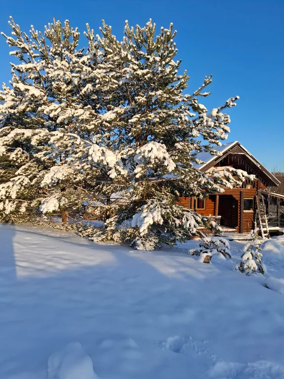 Баня дом на заливе