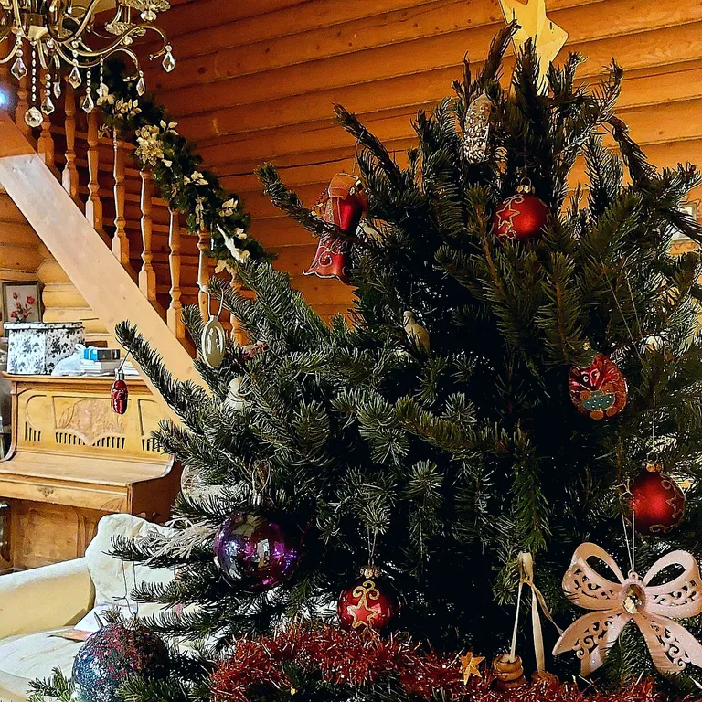 Дом с баней на выходные, праздники или на лето