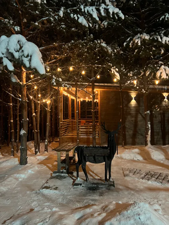 Коттедж 3-комнатный Дом — аренда посуточно в Городец