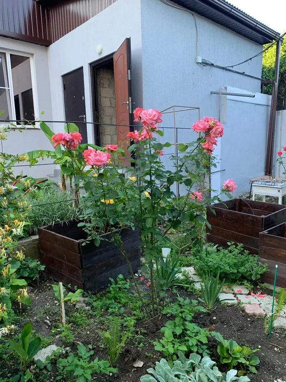 Уютный деревянный дом