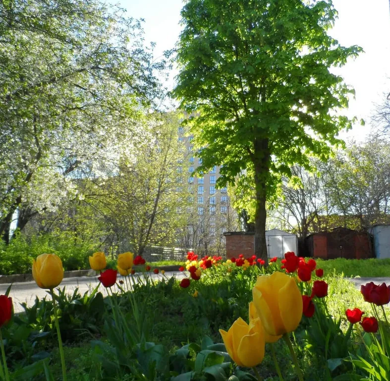 Квартира у моря и парка