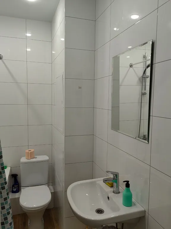 А1 Квартира около парка Гагарина