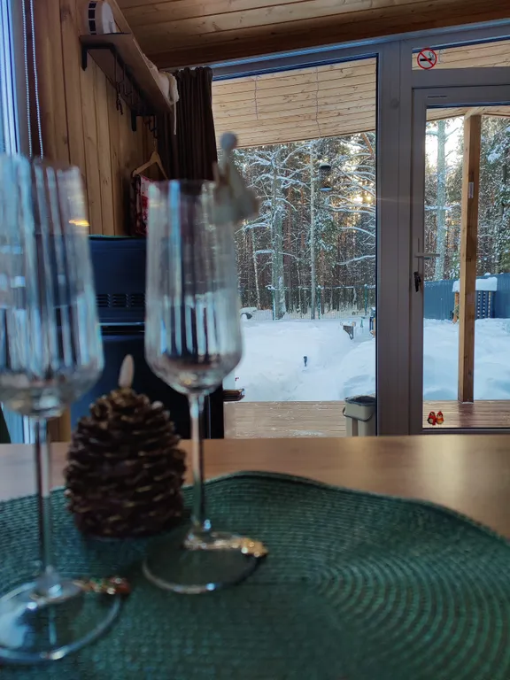 Домик с баней в лесу