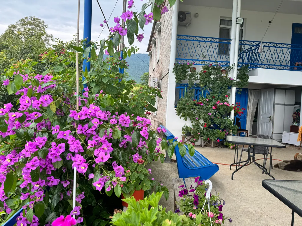 В гостях у Аиды