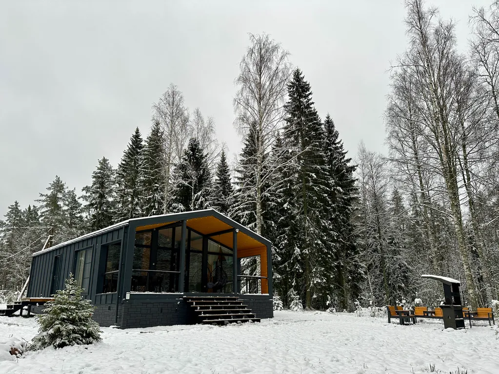 Дом с панорамными окнами в лес