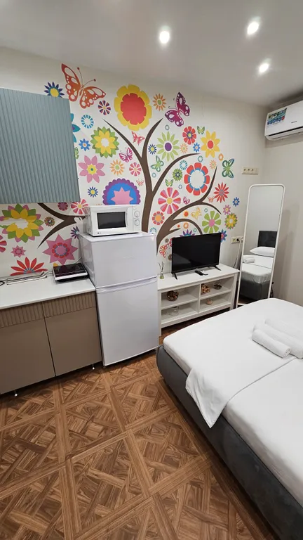 Квартира-студия ст. Павшино