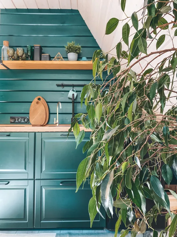 Афрейм Domingo Dacha