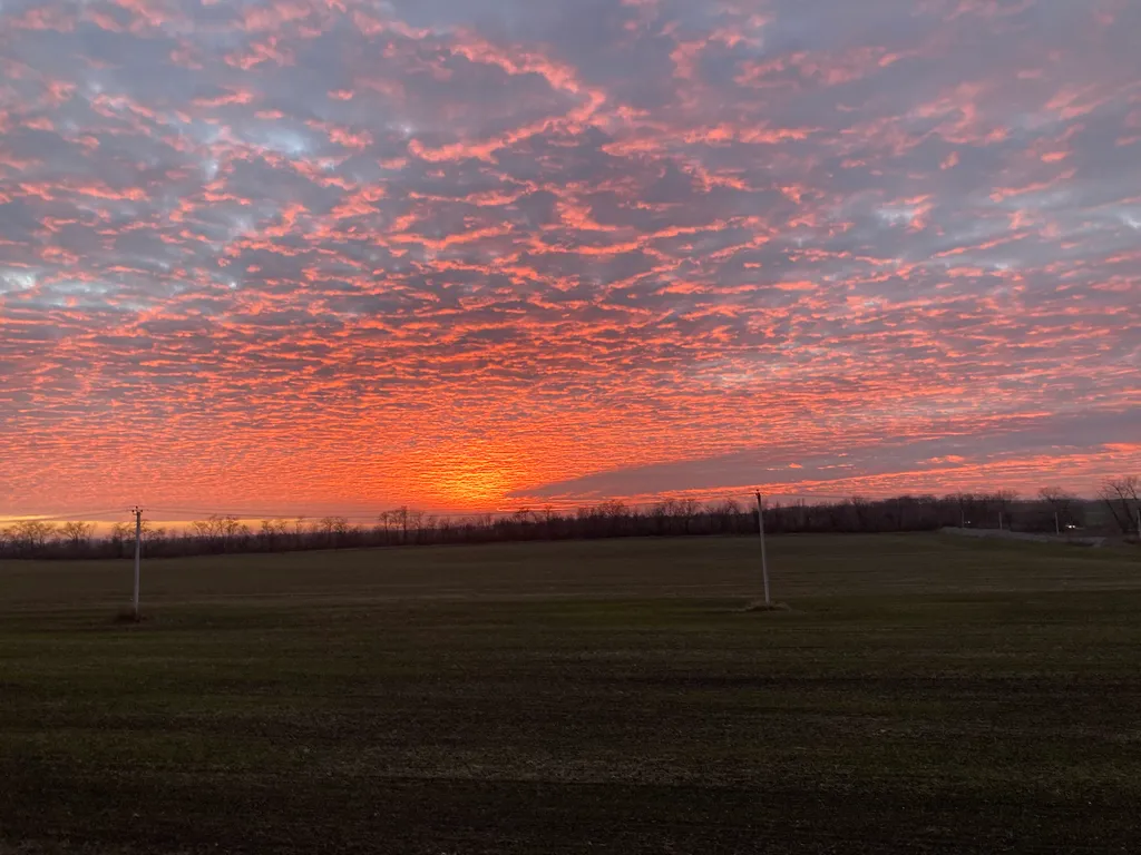 Стильная чистюля с видом на поле и закатные пейзажи